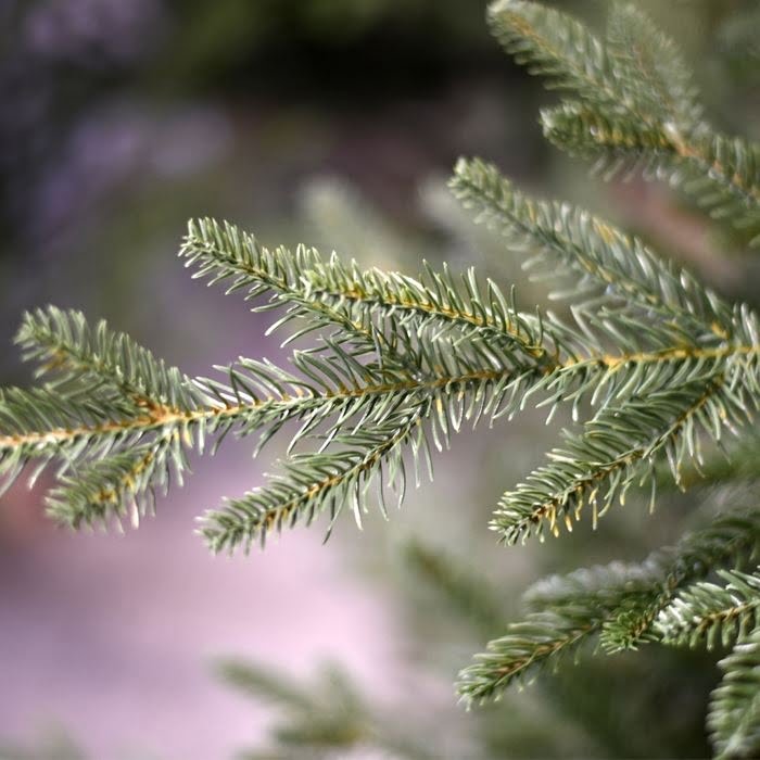 Kunstkerstboom Arkansas Dark Green PE 183cm