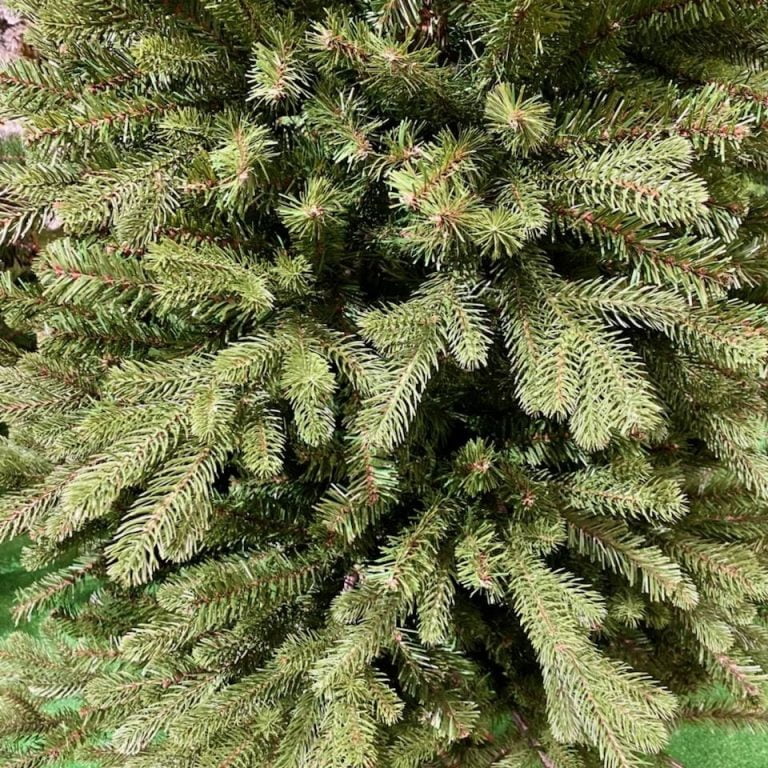 Kunstkerstboom Vermont 243cm