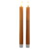 2x LED dinerkaars zalm 25,5cm