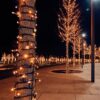 Kerstverlichting Connect de luxe 100 LED Classic Warm - 10 Meter