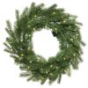Grandis kerstkrans LED 50cm