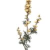 Kunstbloem Delphinium spray 85cm Cream