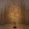 Zwarte LED Boom 1000LED met flash Classic Warm - 150cm