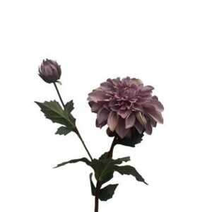 Kunstbloem Dahlia spray x1 + knop 80cm Light Purple