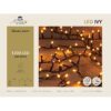 LED IVY verlichting 1200 lampjes Classic Warm - 26 meter