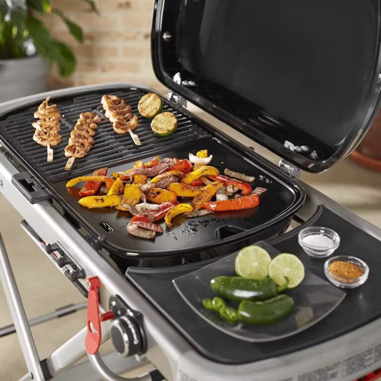 Weber bakplaat voor Traveler