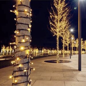 Kerstverlichting Connect de luxe 100LED Warm Wit - 10 Meter