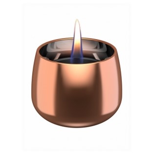 Tenderflame Crocus Rose Giftbox